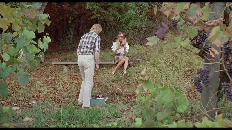 School girls 7 the calendar girls (1972) full movie online video