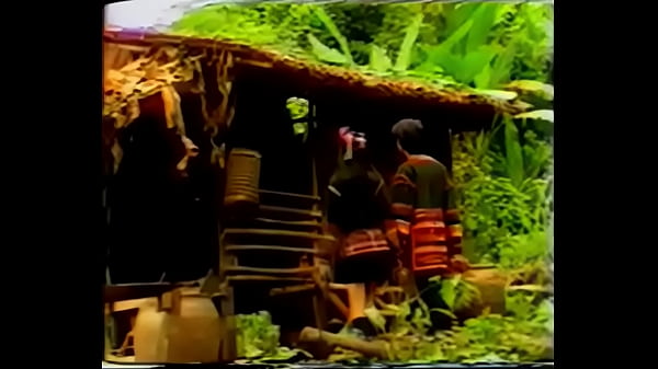 Best Thai sex movies - Link full HD TauNhanh.us