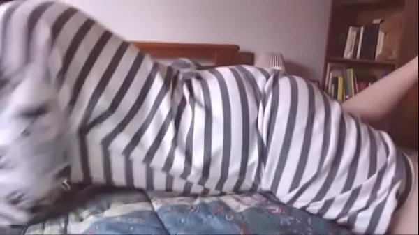 Deine Futanari-Freundin hat einen riesigen schwarzen Schwanz, den du lutschen kannst