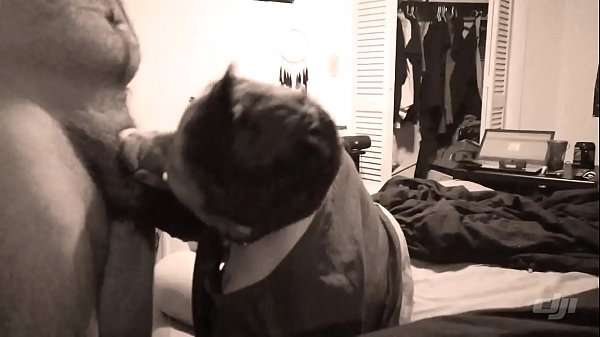 L'ho scopata con una bottiglia di sakè!