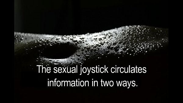 ogigia project, the technology that will change porn.