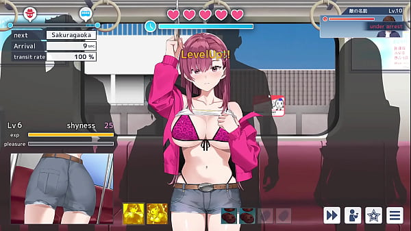 Decoy Detective O Investigator Lina S3