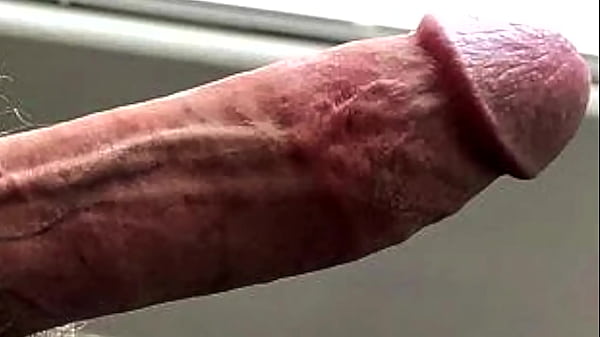 SOLO FOLLAME AHORA, 6: P. ENTRENADOR