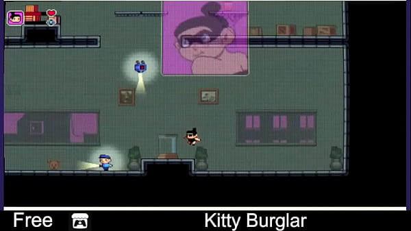 Kitty Burglar