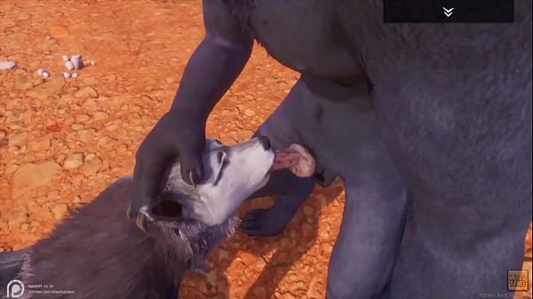 Alpha wolf eating hot wolf in Wild Life