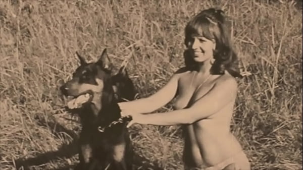 डार्क लैंटर्न एंटरटेनमेंट प्रस्तुत करता है