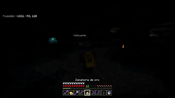 Gefangennahme eines Aufsehers