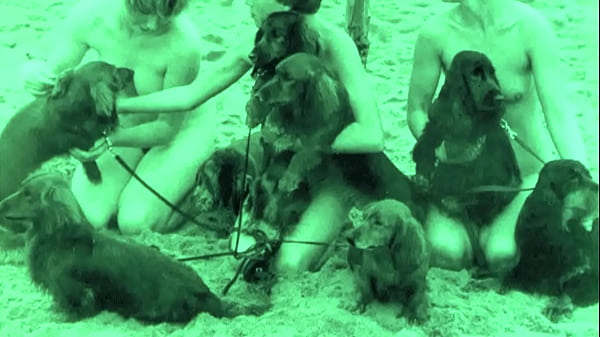 Tabú vintage, coño y perro