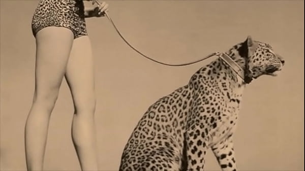 Dark Lantern Entertainment präsentiert „Vintage Nature Girls“