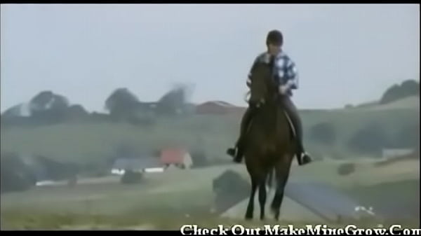 Two blonde beauties anal fucked in the stables