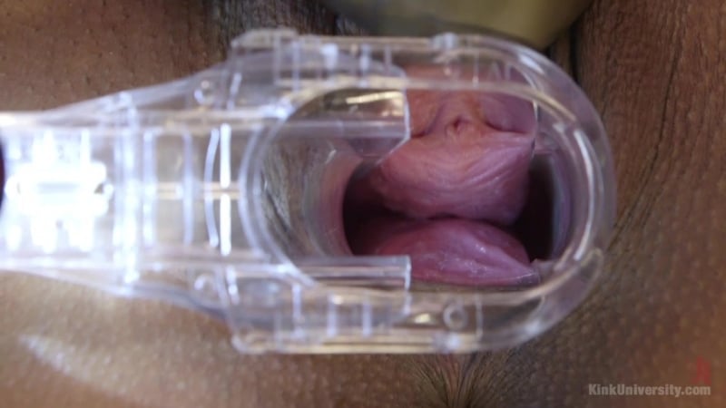 Ku 40137 ruckus and daisy ducati